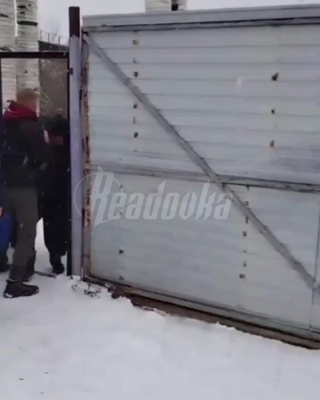 Зоозащитники разнесли хабаровский приют и избили его сотрудника из-за подозрений в плохом уходе за животными