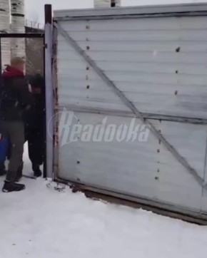 Зоозащитники разнесли хабаровский приют и избили его сотрудника из-за подозрений в плохом уходе за животными