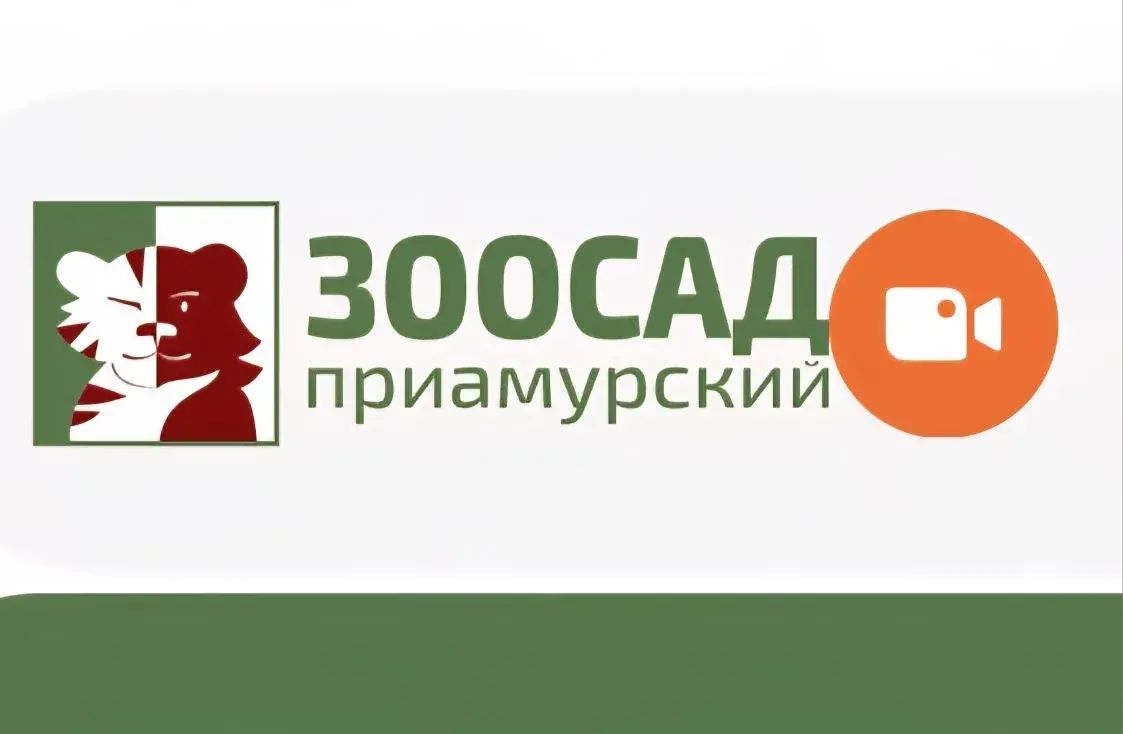 Зоосад «Приамурский» открывает виртуальные двери: теперь увидеть льва Аслана и белого медведя Алмаза можно онлайн