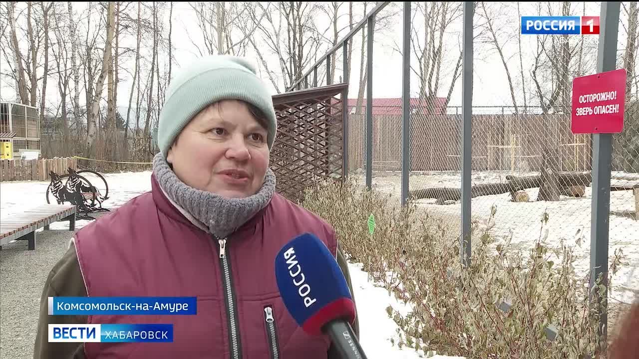 Две полярные волчицы переехали из Хабаровска в зоопарк «Сихотэ-Алинь» Города юности