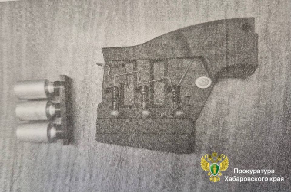 В Хабаровске перед судом предстанет мужчина, устроивший стрельбу в общественном месте