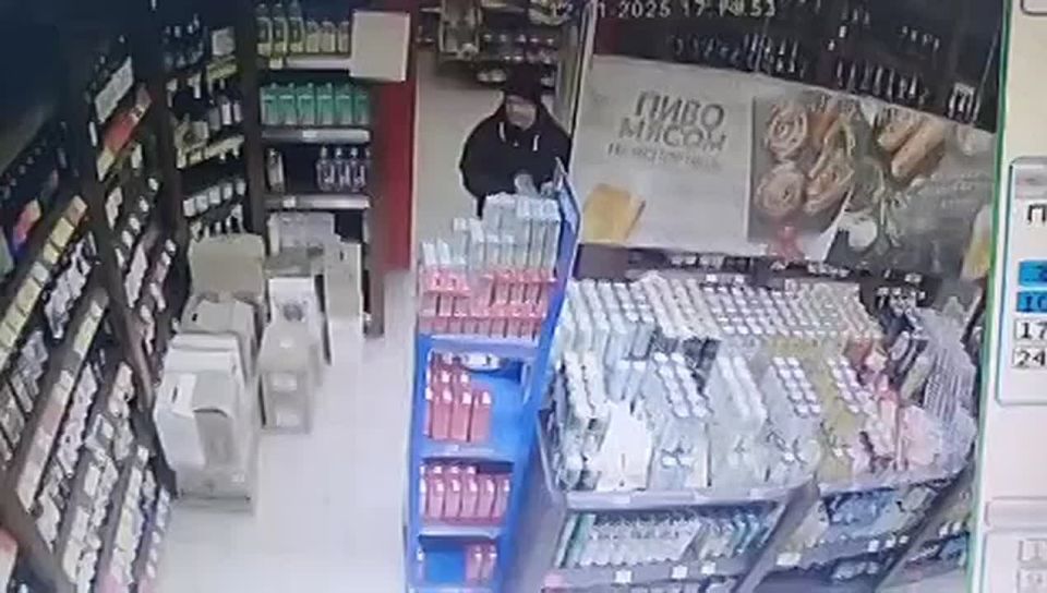 Котенка подкинули в магазин в Советской Гавани