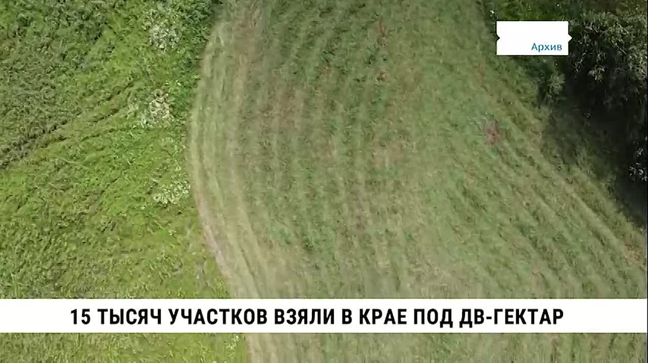 Лидером по количеству выданных «дальневосточных гектаров» в этом году стала Якутия, Хабаровский край — на четвёртом месте