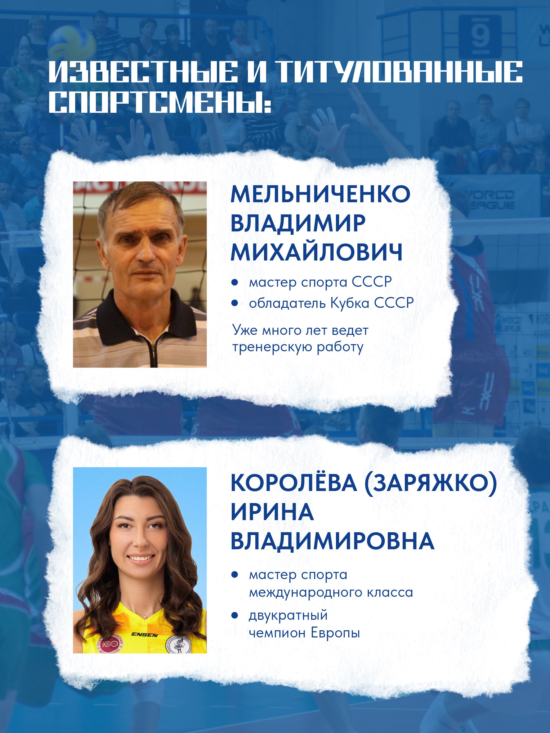 Знакомим вас с краевой федерацией волейбола Знакомим вас с краевой федерацией волейбола