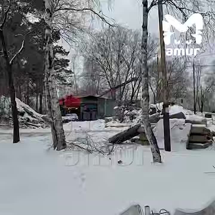 Леонид Слуцкий: Вузы России ждёт большая проверка после инцидента в хабаровском ТОГУ