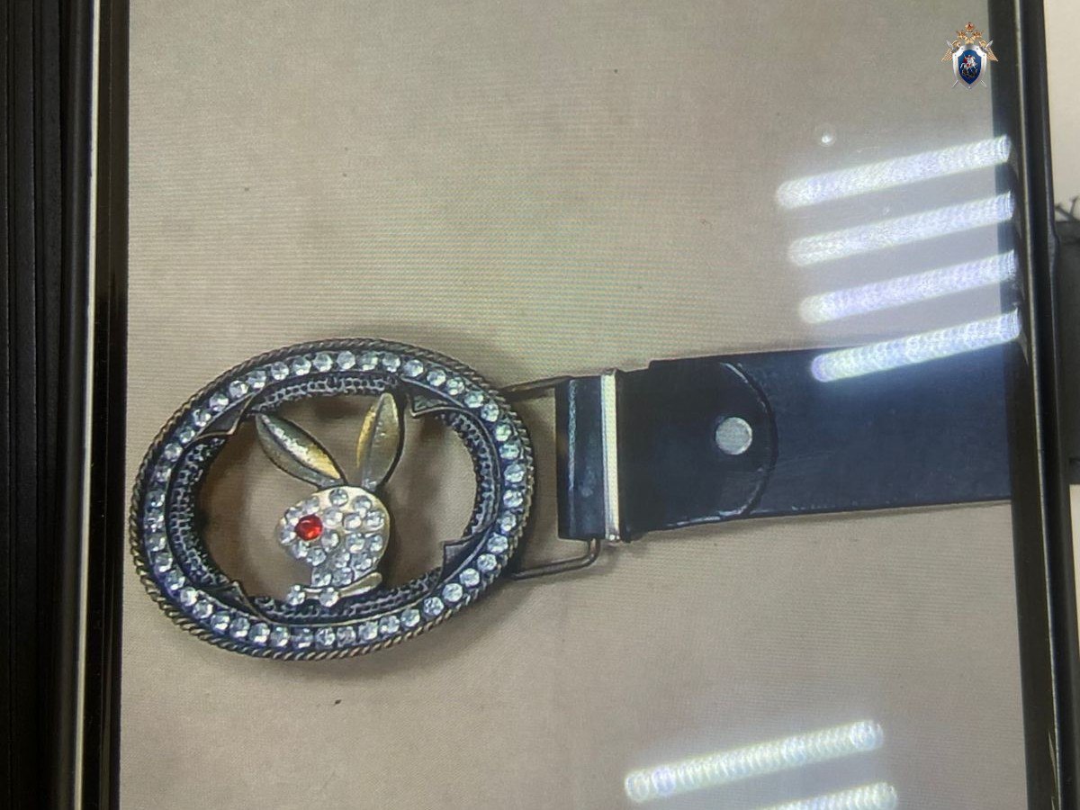 Житель Хабаровска руками и ремнём забил до смерти свою сожительницу