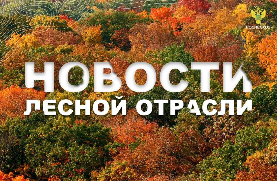 ГТРК Бурятия: Партия дронов поступила в Бурятию для защиты лесов