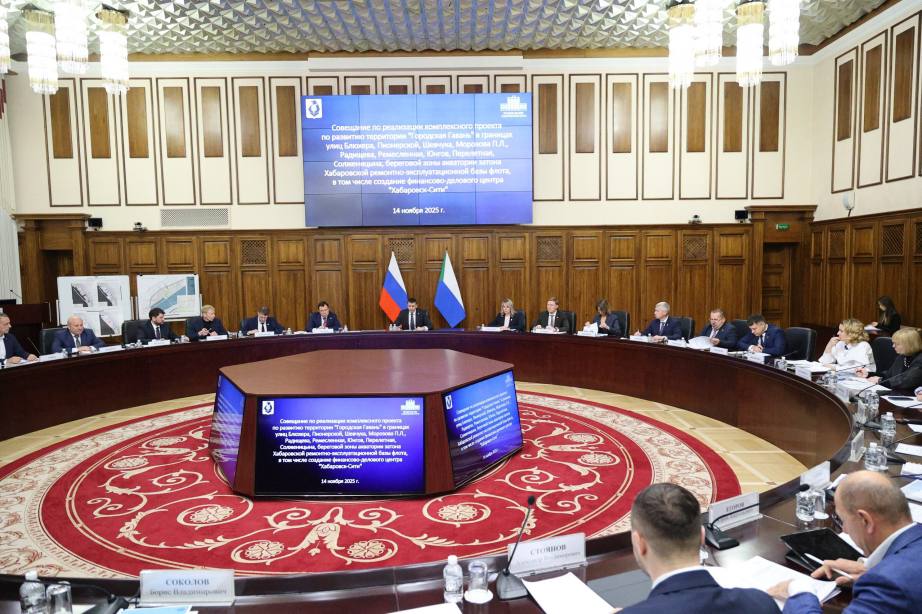 В Хабаровске обсудили создание финансово-делового центра «Хабаровск-Сити» В Хабаровске обсудили создание финансово-делового центра «Хабаровск-Сити»