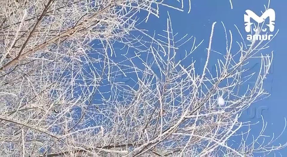 Комсомольск-на-Амуре словно застыл во льду: иней лёг ровным покрывалом на каждый уголок города