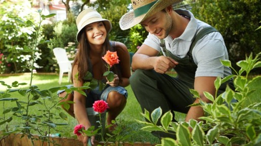 Клумбы в саду будут цвести дольше: в августе подкормите растения вот чем