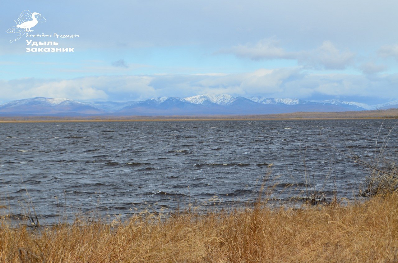 Сотрудники Комсомольского заповедника завершили наблюдение за белоплечими орланами Сотрудники Комсомольского заповедника завершили наблюдение за белоплечими орланами