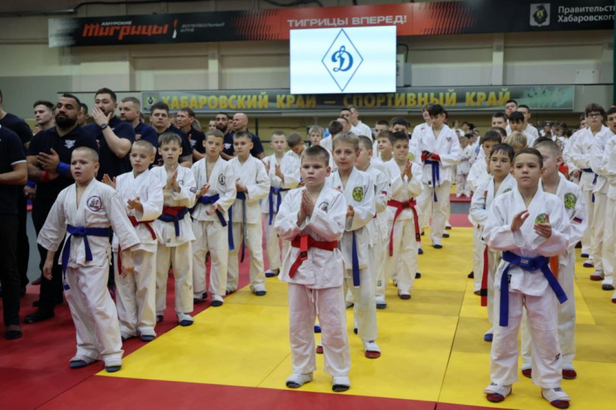 Около 500 юных спортсменов Дальнего Востока участвуют в фестивале «Юный Динамовец» в Хабаровске