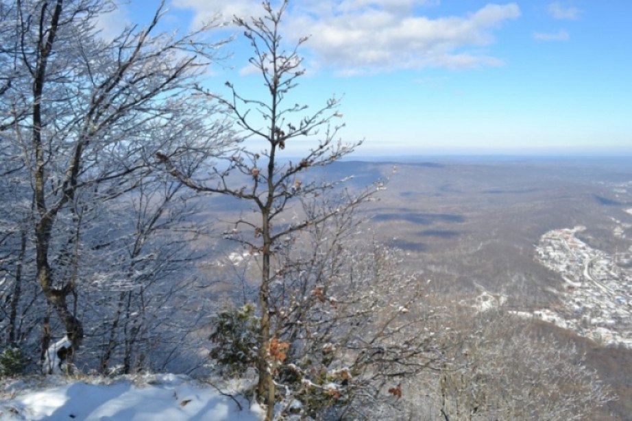 Пожароопасный сезон в лесах в Хабаровском крае завершен