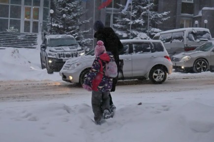 Хабаровские родители сегодня могут освободить детей от школы