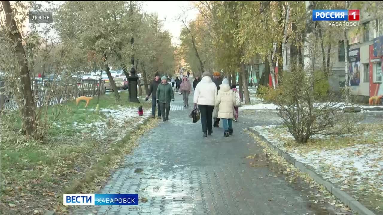 Более миллиарда рублей с начала года похитили мошенники у жителей Хабаровского края