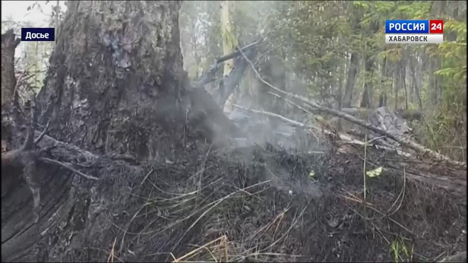 Минлесхоз: пожароопасный сезон завершён в Хабаровском крае