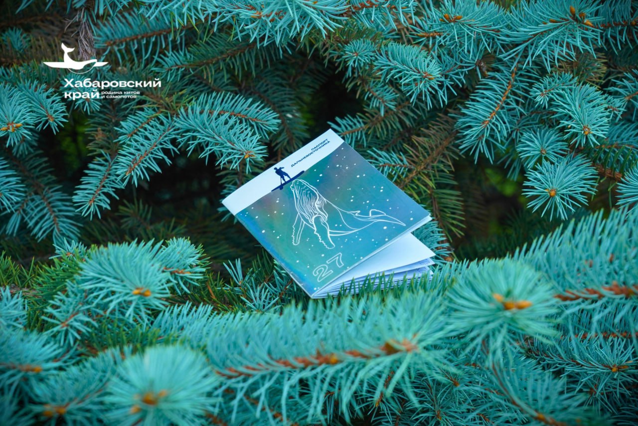 Проекту «Паспорт Дальневосточник» исполнился год Проекту «Паспорт Дальневосточник» исполнился год