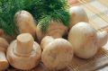 Как сохранить аромат замороженных грибов: вы об этом способе не знали