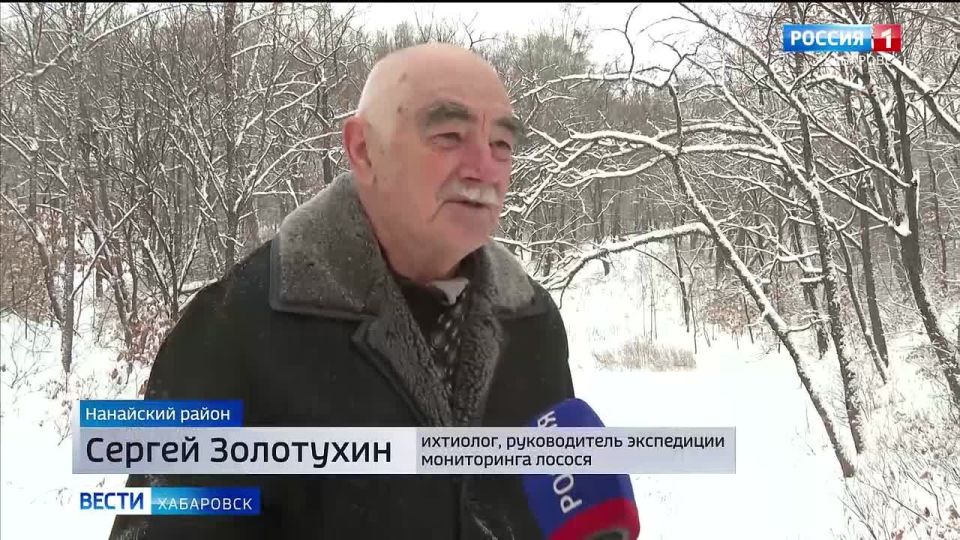 Рыбы мало, но это нормально: мониторинг популяции лосося на Анюе завершили хабаровские учёные