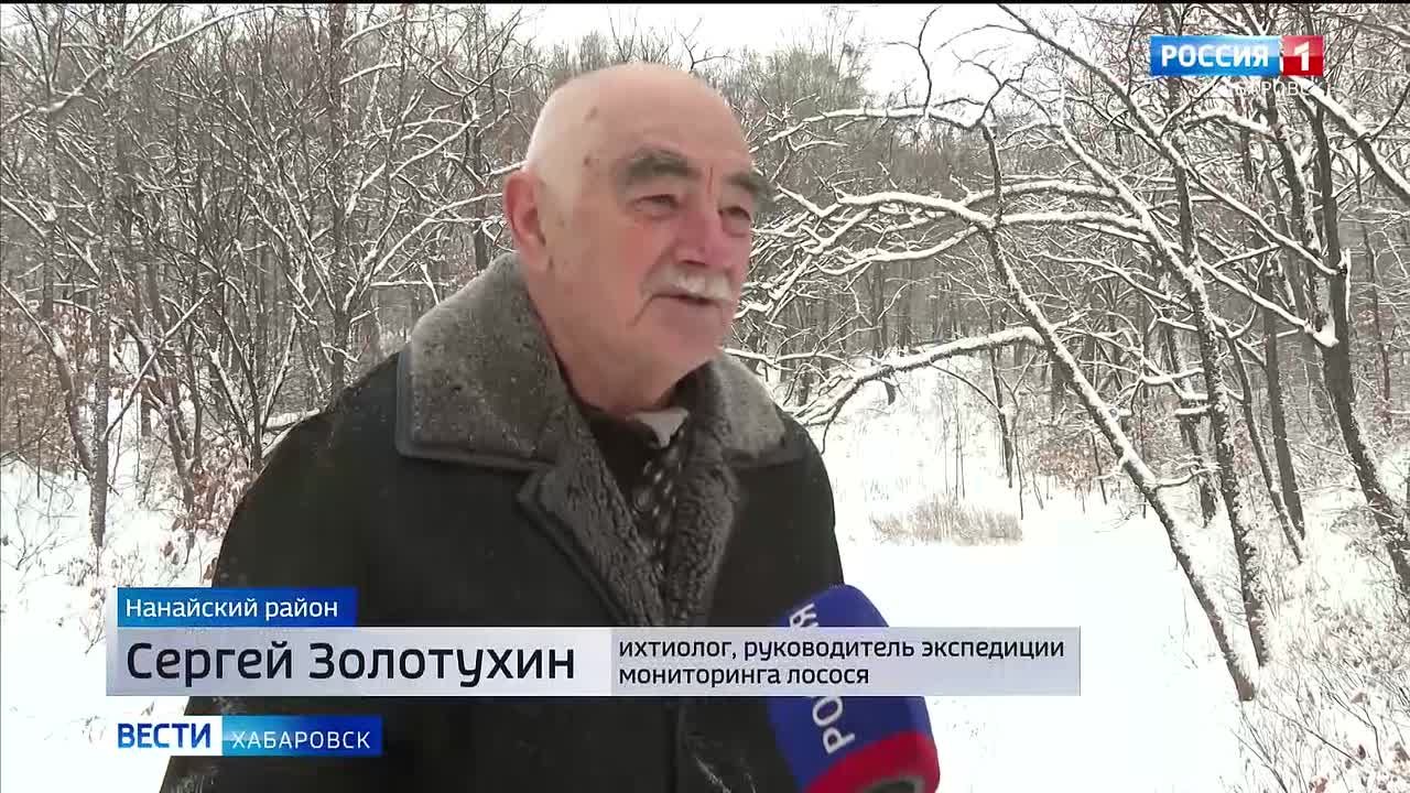 Рыбы мало, но это нормально: мониторинг популяции лосося на Анюе завершили хабаровские учёные