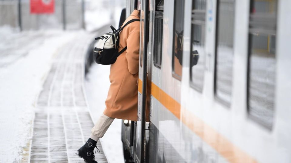 Сотрудник безопасности сломал руку пассажиру, пытавшемуся прорваться в поезд в Хабаровском крае