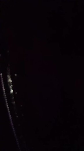 Что в спортивной сумке у Алексея Гукова?