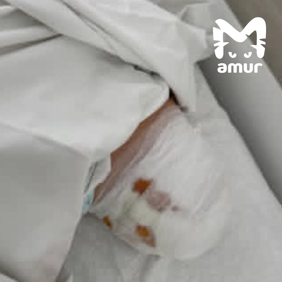 Женщине, которой ампутировали ногу после ДТП автобуса с поездом в Хабаровске, до сих пор делают операции Женщине, которой ампутировали ногу после ДТП автобуса с поездом в Хабаровске, до сих пор делают операции