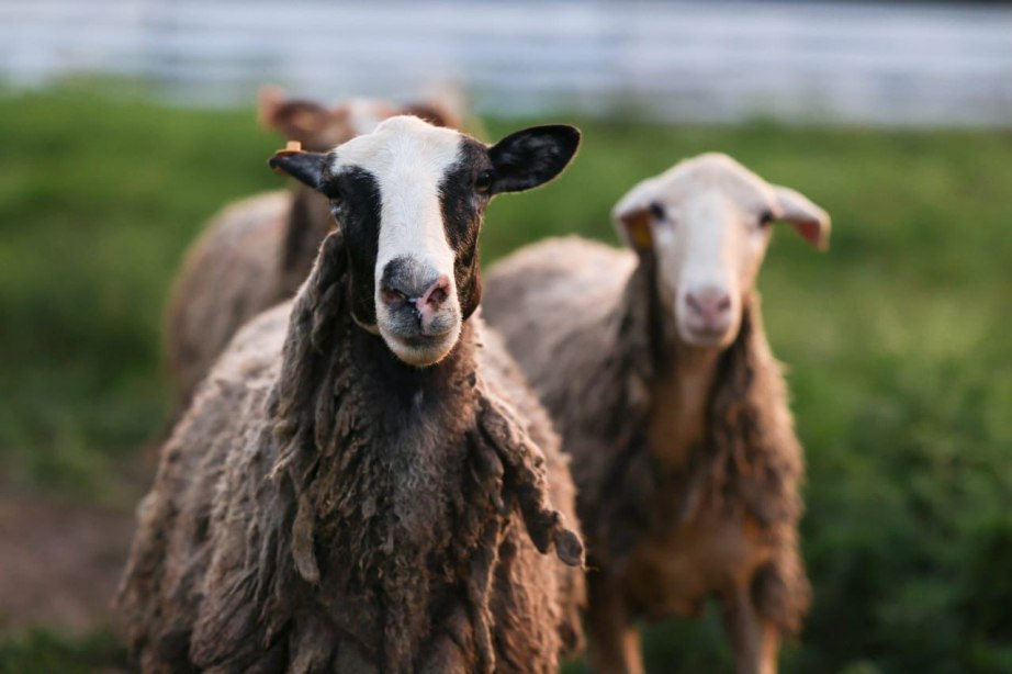 Более 1 900 соцконтрактов заключили жители Хабаровского края с начала текущего года Более 1 900 соцконтрактов заключили жители Хабаровского края с начала текущего года