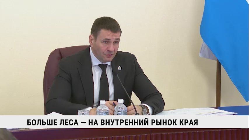 Губернатор Дмитрий Демешин обсудил работу лесной отрасли Хабаровского края с профильным министром Андреем Самойловым на совещании в правительстве региона