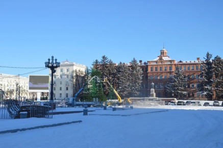 Главную ёлку Хабаровского края собирают из 1,5 тысяч веток