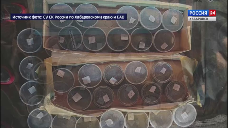 Трое хабаровчан предстанут перед судом за незаконную перевозку и хранение более 3 тонн чёрной икры