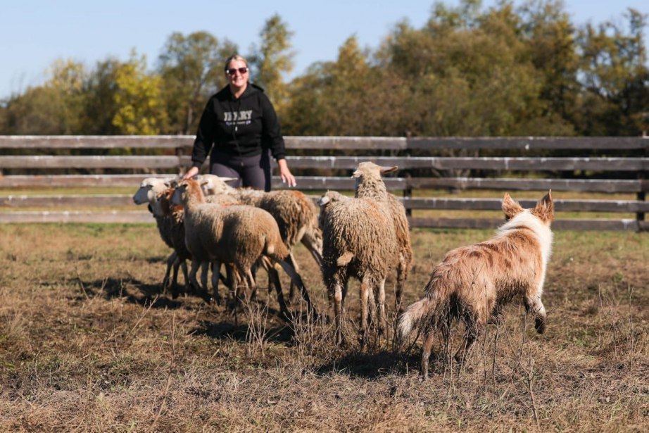 Более 1 900 соцконтрактов заключили жители Хабаровского края с начала текущего года Более 1 900 соцконтрактов заключили жители Хабаровского края с начала текущего года