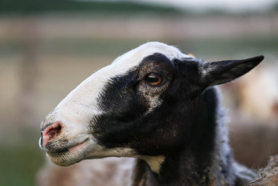 Более 1 900 соцконтрактов заключили жители Хабаровского края с начала текущего года Более 1 900 соцконтрактов заключили жители Хабаровского края с начала текущего года