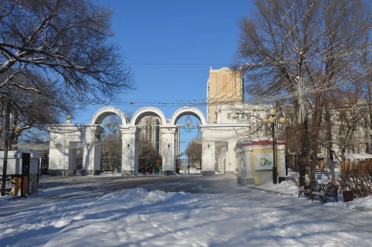 Новогоднюю ёлку установят в парке имени Гайдара на этих выходных