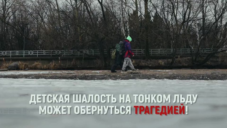 Напоминаем правила безопасности: