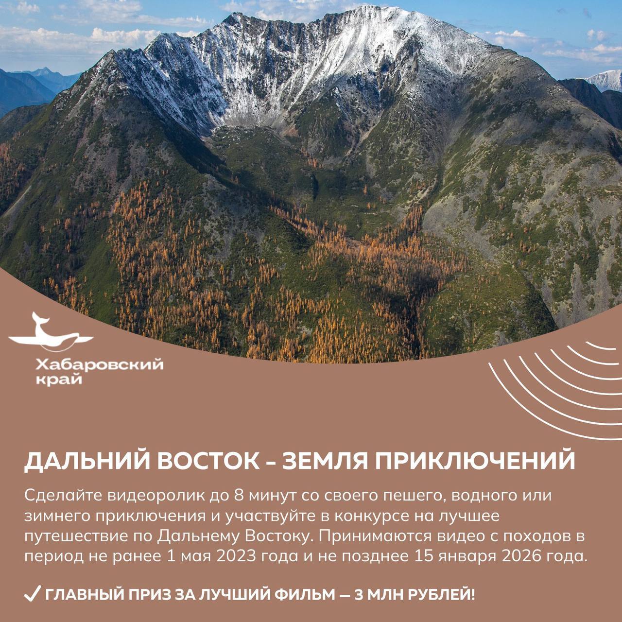 Побывать на шоколадной фабрике или сделать аксессуар из рыбьей кожи приглашают жителей и гостей региона Побывать на шоколадной фабрике или сделать аксессуар из рыбьей кожи приглашают жителей и гостей региона