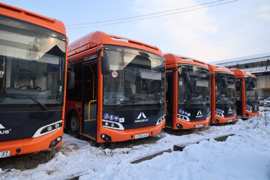 Дмитрий Демешин потребовал немедленно вывести простаивающие автобусы на межмуниципальные маршруты Дмитрий Демешин потребовал немедленно вывести простаивающие автобусы на межмуниципальные маршруты