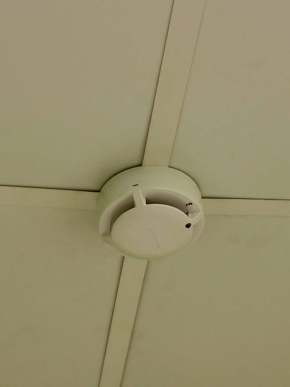 Закрытый по решению суда детский сад вновь открыл свои двери в Хабаровске Закрытый по решению суда детский сад вновь открыл свои двери в Хабаровске