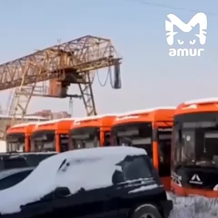 Новые мэрские автобусы гниют в Хабаровске