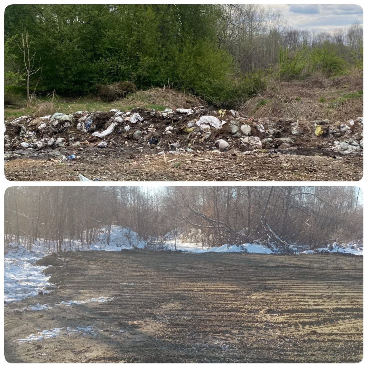 Стихийный скотомогильник ликвидировали в районе имени Лазо