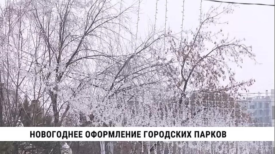 В Хабаровске начинается новогоднее настроение