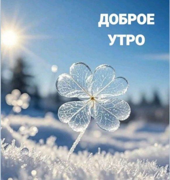 Доброе утро, Хабаровск!. 23 ноября