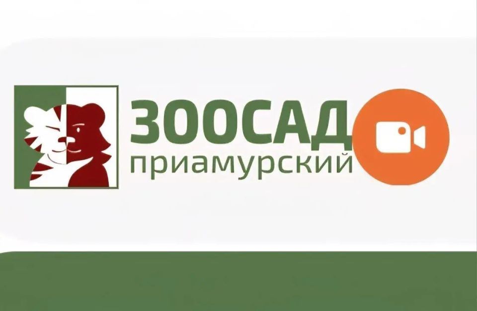 Зоосад «Приамурский» открывает виртуальные двери