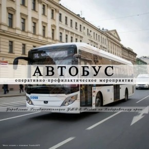 Госавтоинспекция информирует! На территории Хабаровского края с 24 по 28 ноября 2025 года пройдет оперативно-профилактическое мероприятие "Автобус"