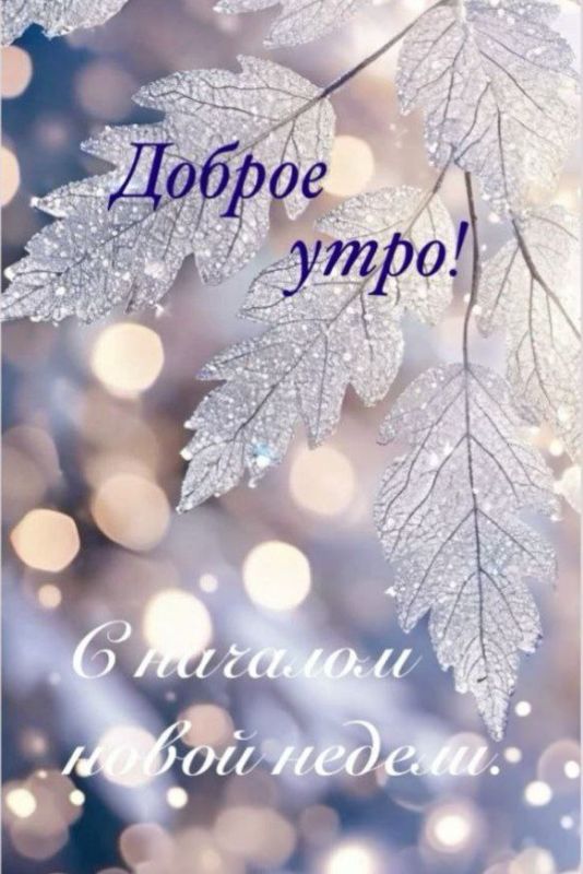 Доброе утро, Хабаровск!. 24 ноября