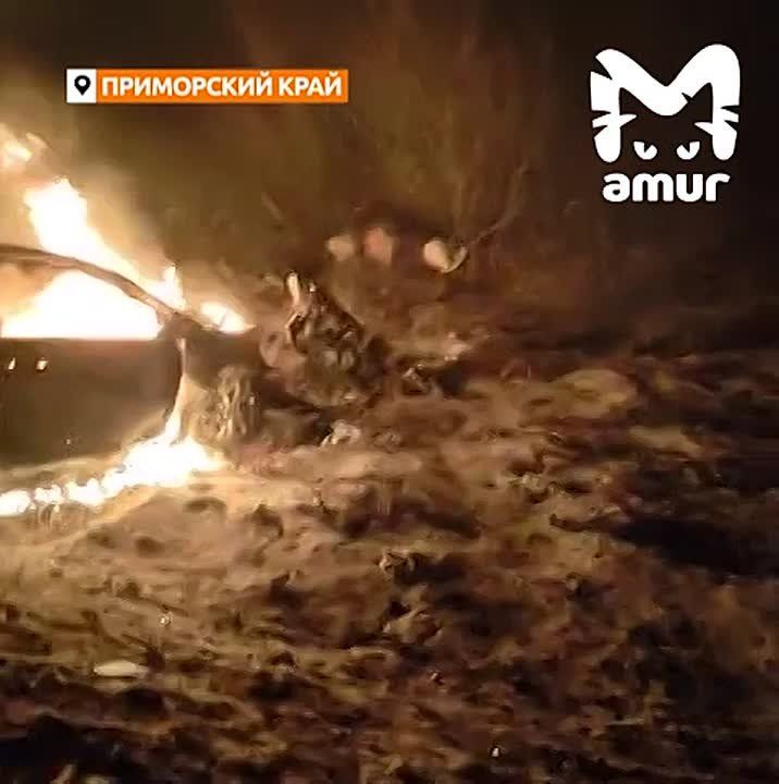 КамАЗ и легковушка сгорели после столкновения на трассе Хабаровск — Владивосток