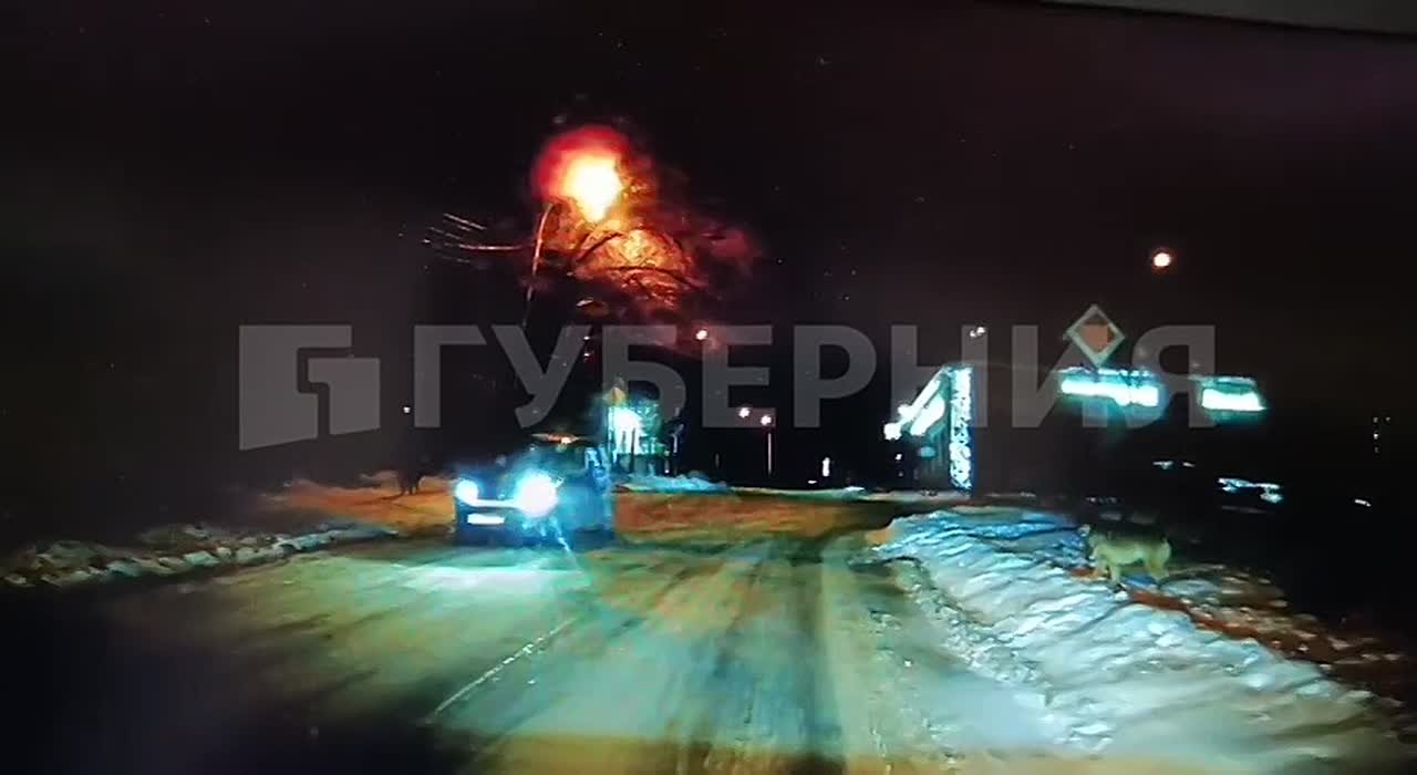 «Шел бы пешком, просто порвали бы меня»: стая собак кошмарит автолюбителей в Хабаровске