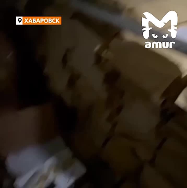 Чёрной икры на три миллиона прикупил водитель фуры на Сахалине