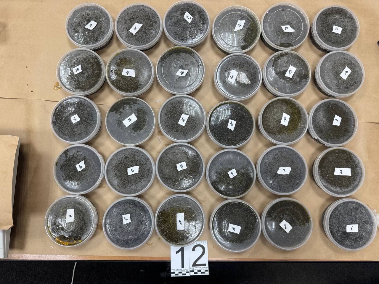 В Хабаровском крае прокуратура направила в суд уголовное дело о незаконном обороте водных биоресурсов