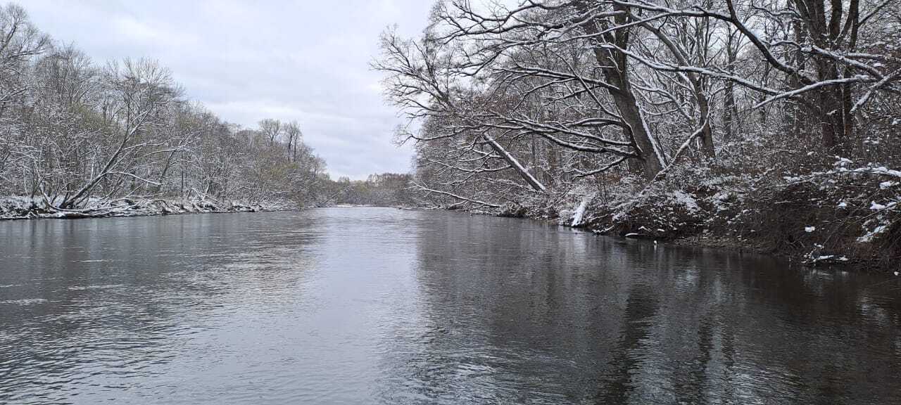 Нерест кеты увеличился в Анюйском национальном парке